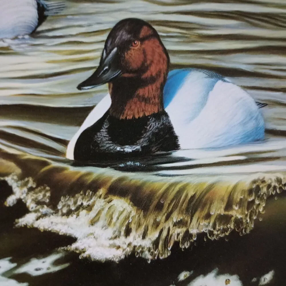 No Brand 2002 ducks